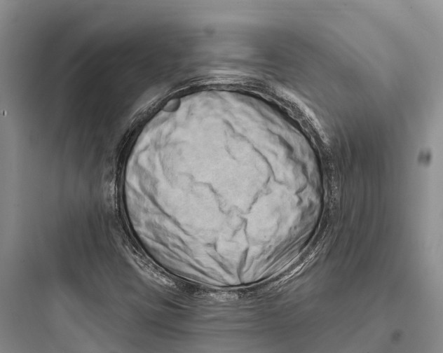 X0000097591403200803211626