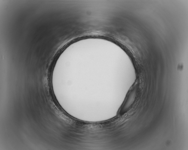 X0000097591404200803211626