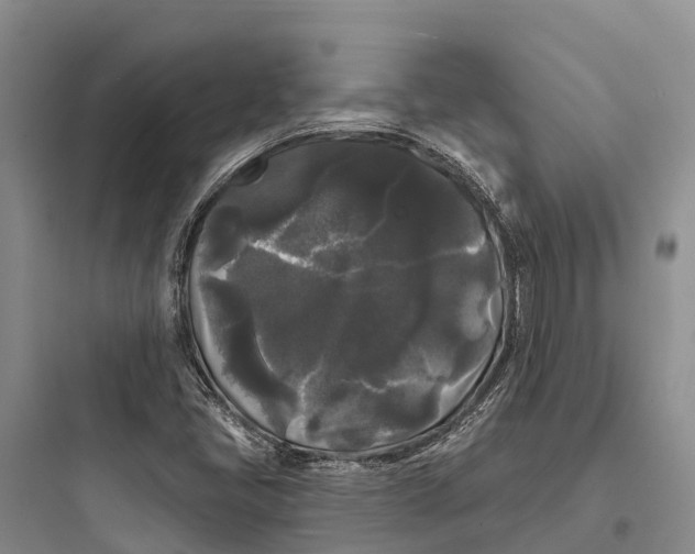 X0000097591405200803211626