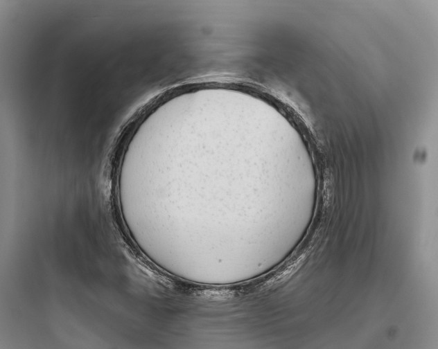 X0000097591406200803211626