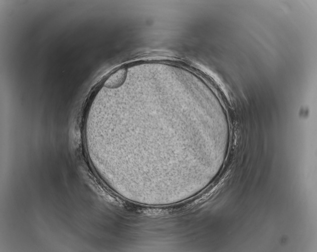 X0000097591407200803211626