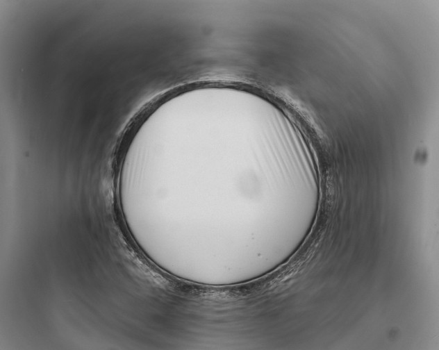 X0000097591408200803211626