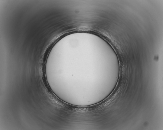 X0000097591410200803211626