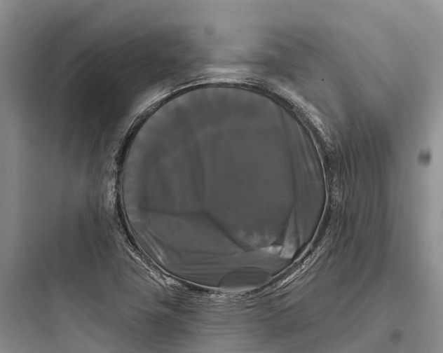 X0000097591411200803211626