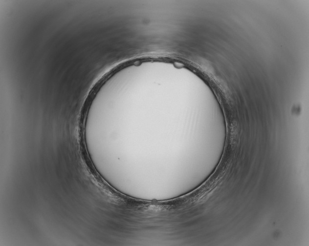 X0000097591412200803211626