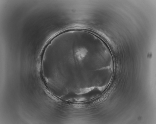 X0000097591413200803211626