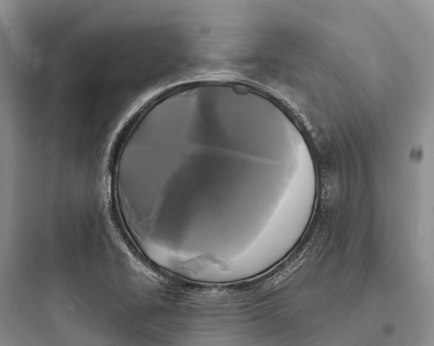 X0000097591414200803211626