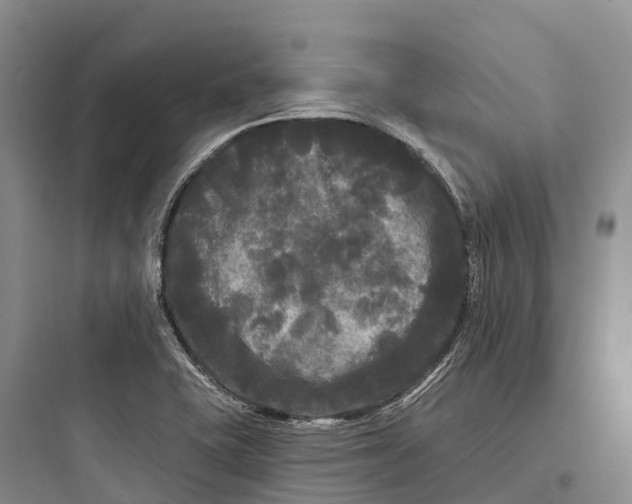 X0000097591415200803211626