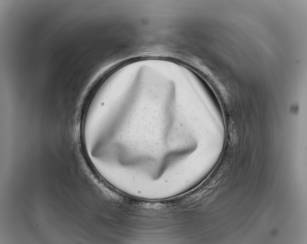 X0000097591416200803211626