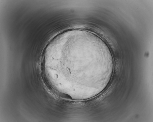 X0000097591417200803211626