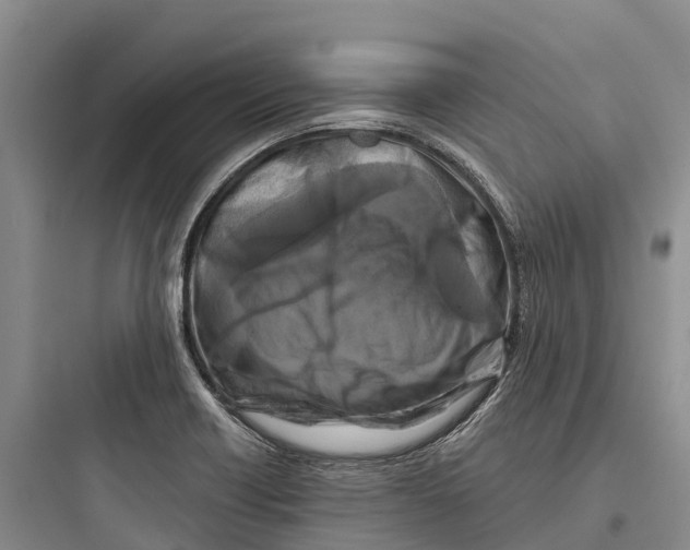 X0000097591418200803211626