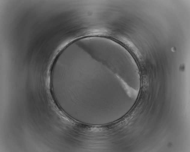 X0000097591419200803211626