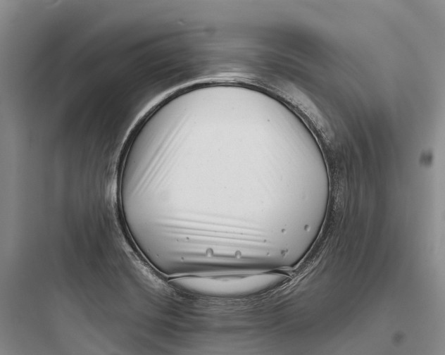 X0000097591420200803211626