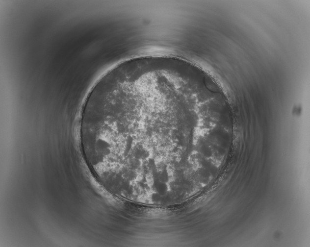 X0000097591421200803211626