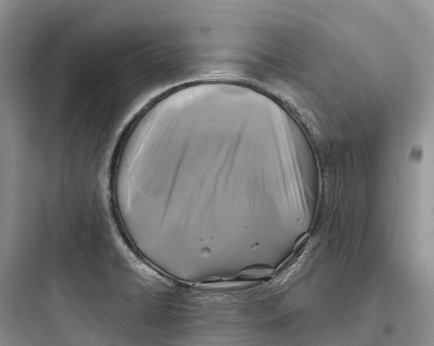 X0000097591422200803211626