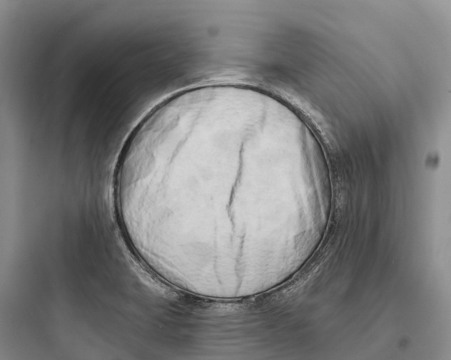 X0000097591423200803211626