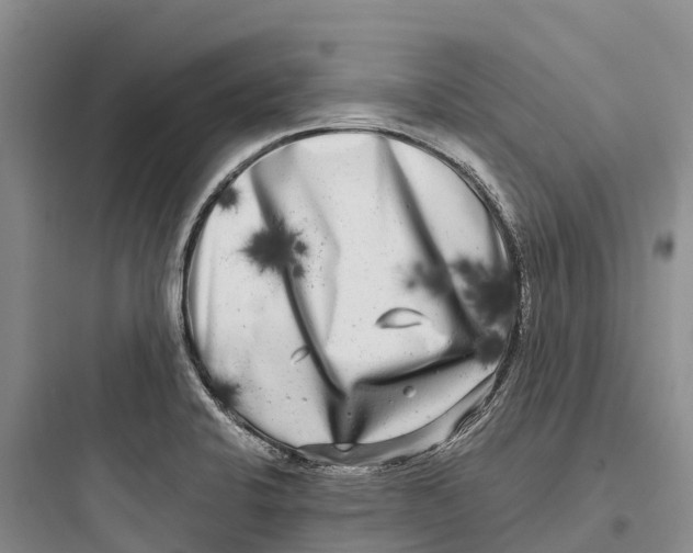 X0000097591424200803211626