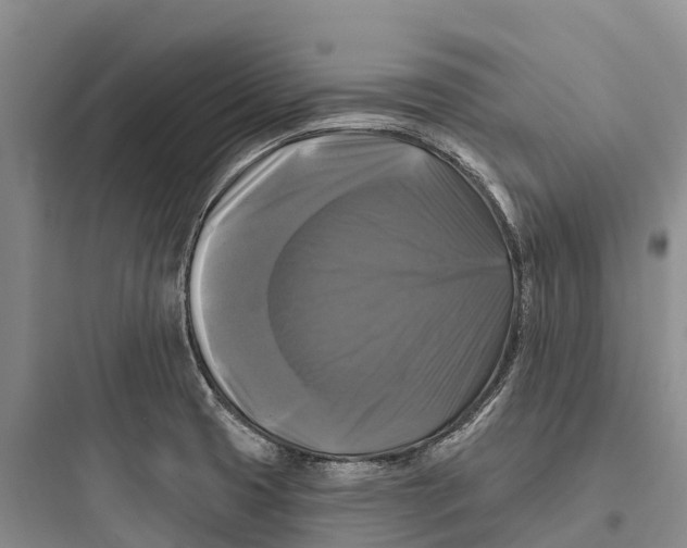 X0000097591425200803211626