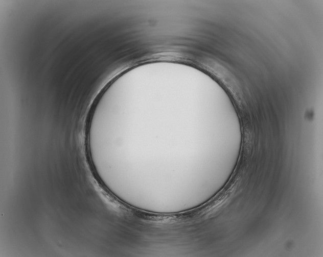 X0000097591426200803211626