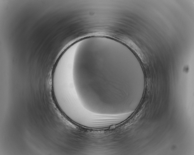 X0000097591428200803211626