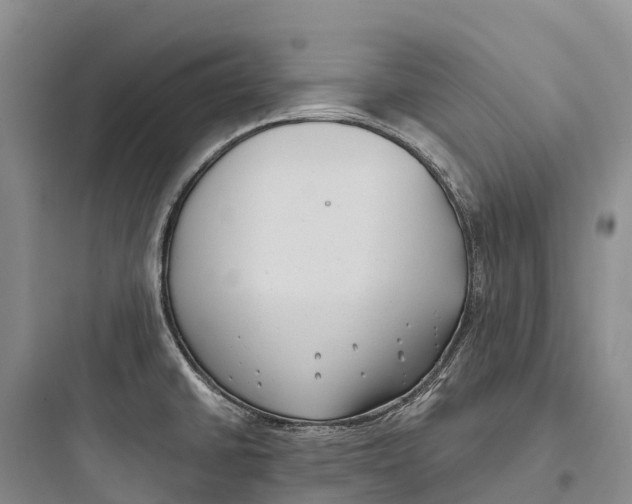 X0000097591430200803211626