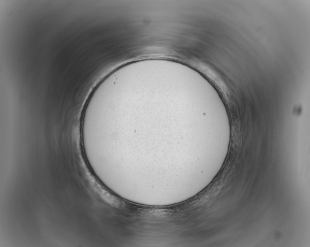 X0000097591431200803211626