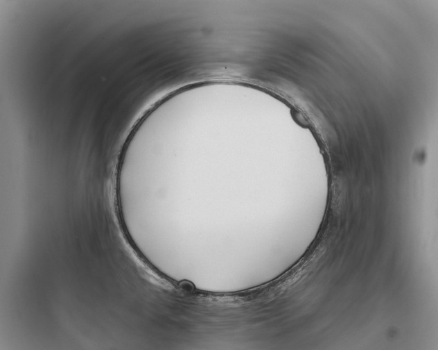 X0000097591432200803211626