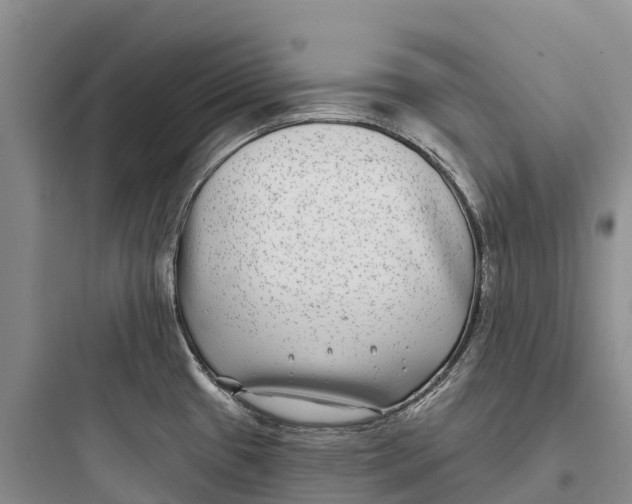 X0000097591433200803211626