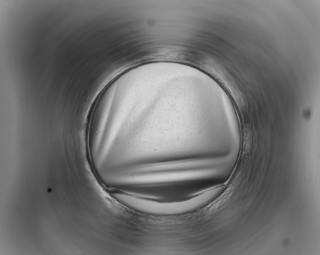 X0000097591434200803211626