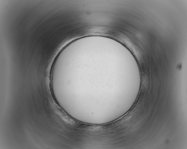 X0000097591435200803211626