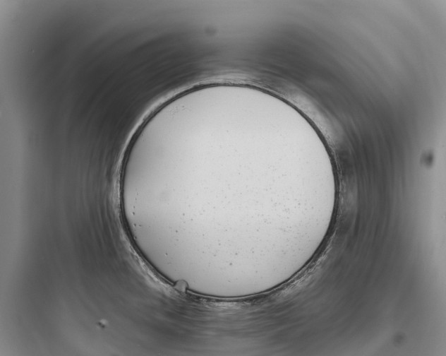 X0000097591436200803211626