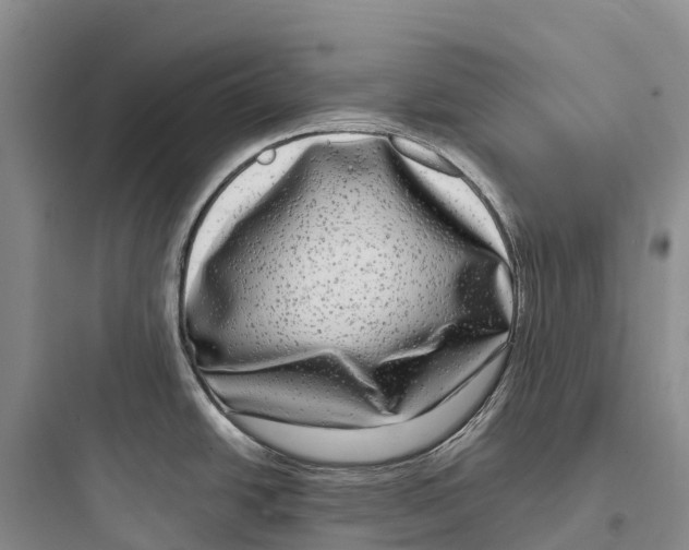 X0000097591438200803211626