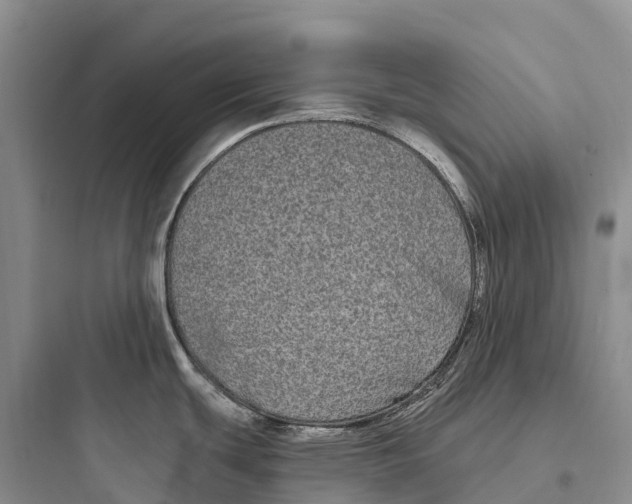 X0000097591439200803211626