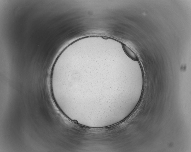 X0000097591440200803211626