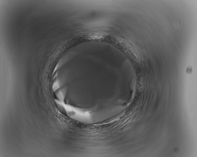 X0000097591441200803211626