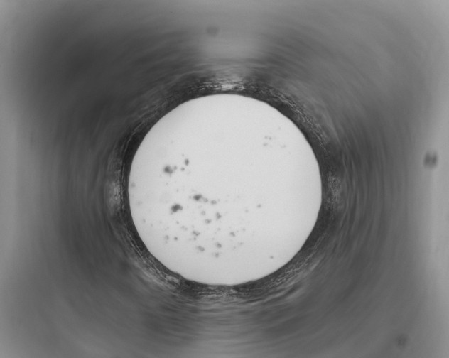 X0000097591442200803211626