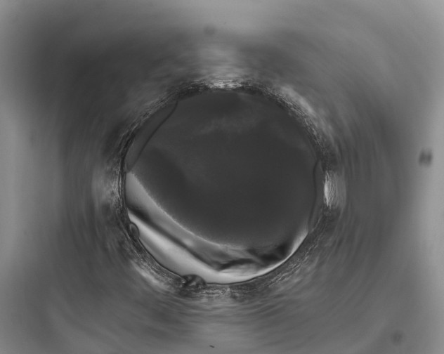 X0000097591444200803211626