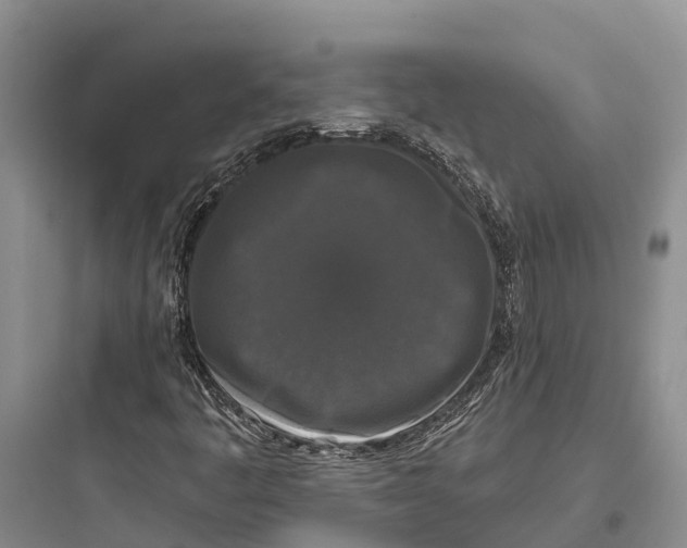 X0000097591445200803211626