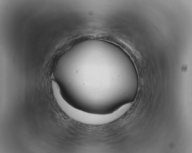 X0000097591447200803211625