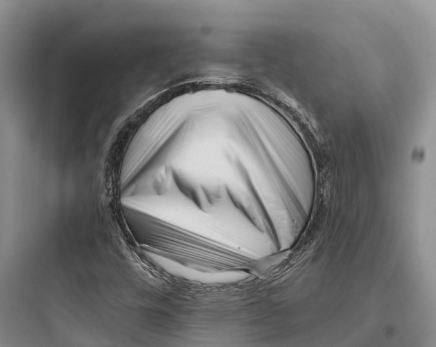 X0000097591448200803211625