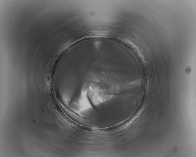 X0000097591449200803211625