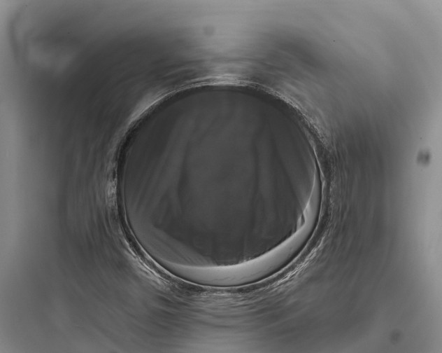 X0000097591450200803211625