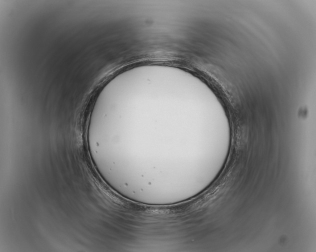 X0000097591451200803211625