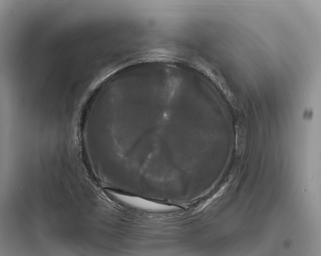 X0000097591453200803211625