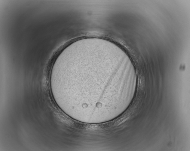 X0000097591454200803211625