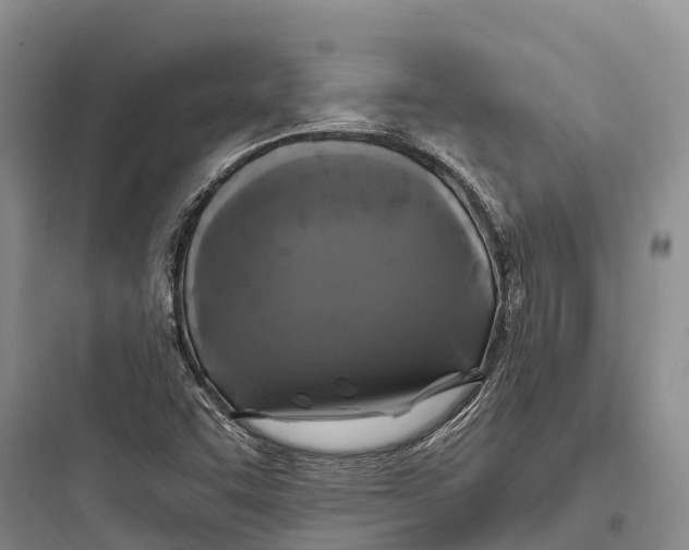 X0000097591455200803211625