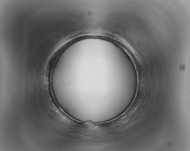 X0000097591456200803211625