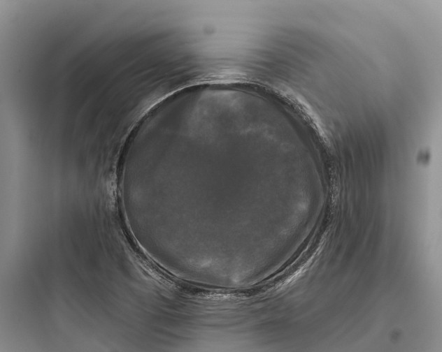 X0000097591457200803211625