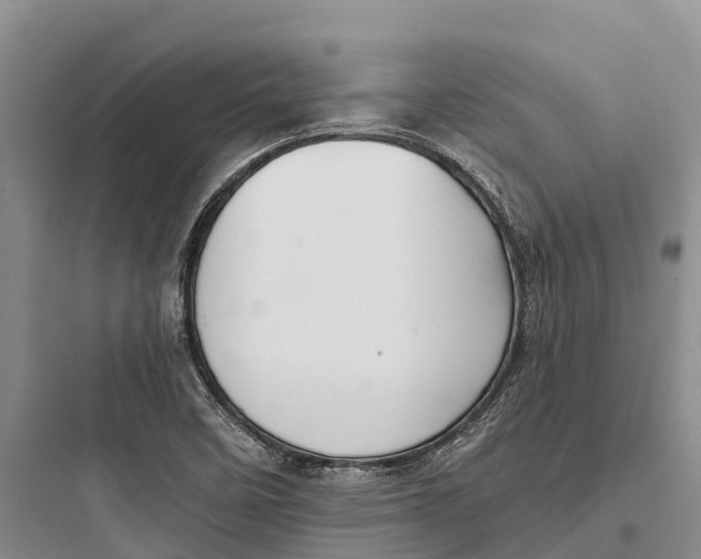 X0000097591458200803211625