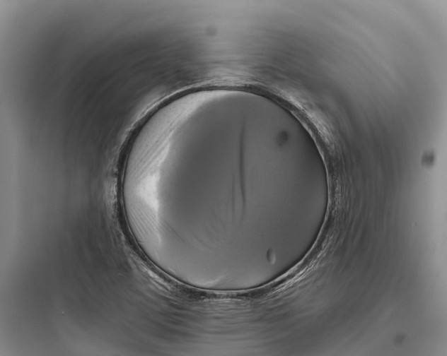 X0000097591459200803211625